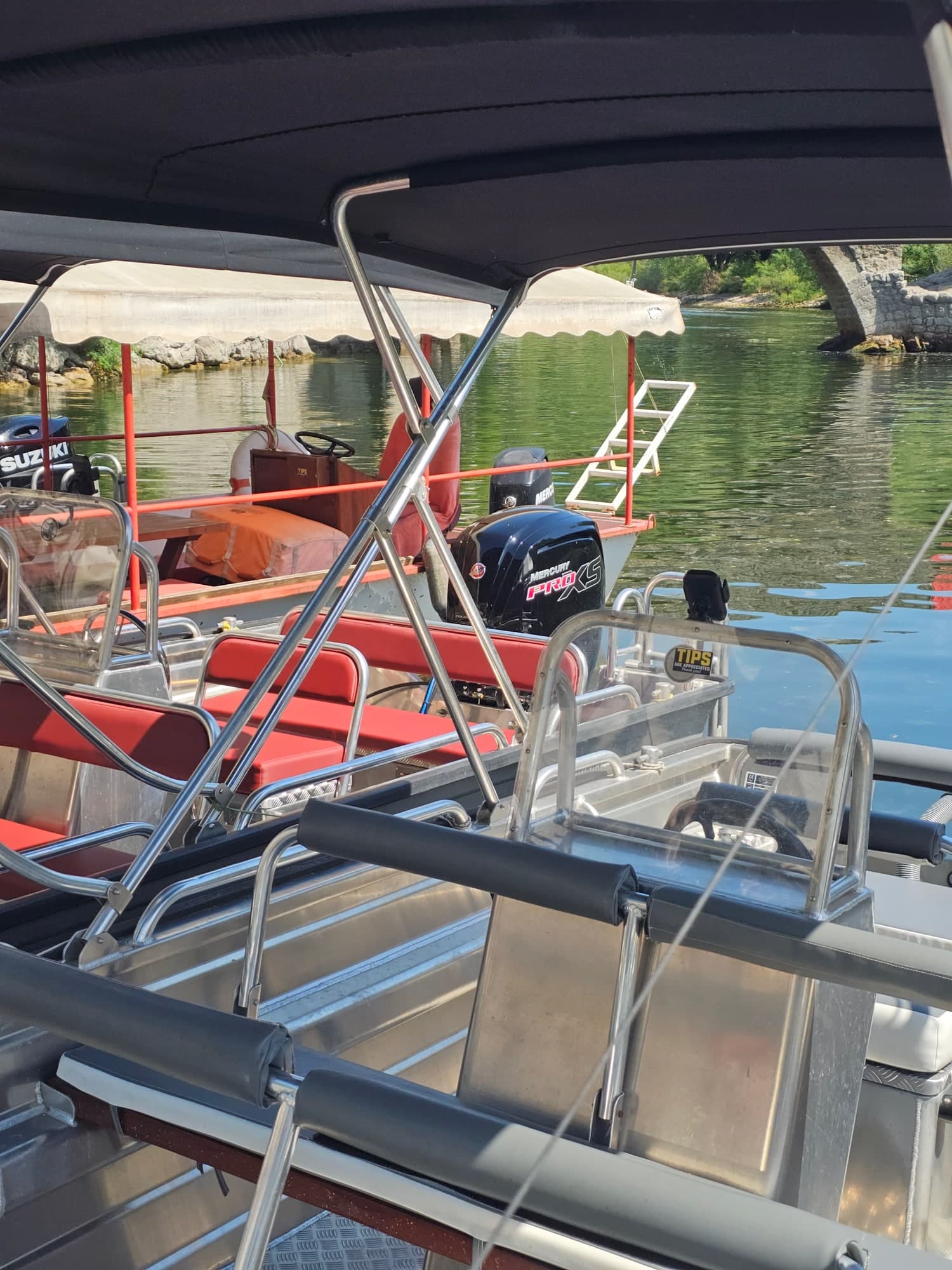 Private speedboat trips on Lake Skadar — 6 / 6